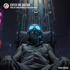 Enter the Matrix (TripHop Version) - Prod by Dawid Snowden & Rob Bevilacqua