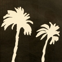 Space in the Palms