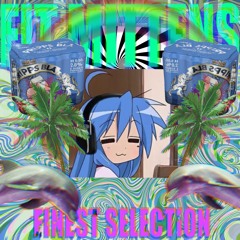 FIT MITTENS FINEST SELECTION #1 - FUTURE FUNK (งツ)ว