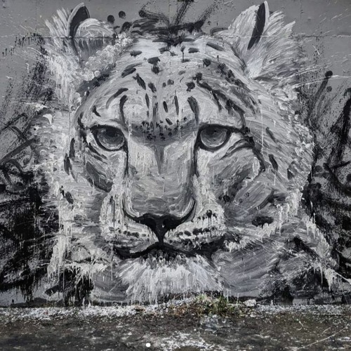 Master Error - holding on (vip)