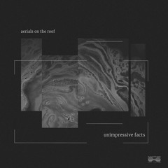 DC Promo Tracks #879: aerials on the roof "Lotus Buzz"