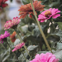 ‎⁨وين انت ياللي ♪⁩