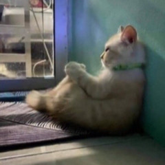 حالي حال المختنق