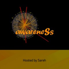 Awareness Chapter 004 | Sareh