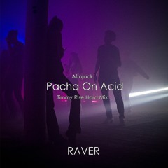 Afrojack - Pacha On Acid (Timmy Rise Hard Mix)