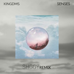 KINGDMS - Senses (shggy Remix)