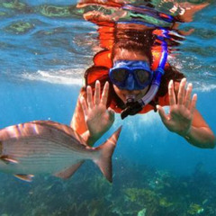 Best Key Largo Two Reef Snorkel Tour Prices Reviews