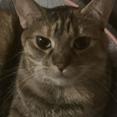 long distance (live)