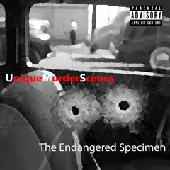 Unique Murder Scenes