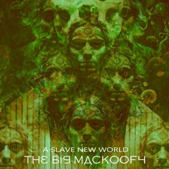 Slave New world-The Big mackoofy