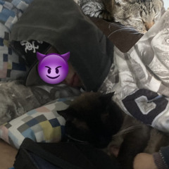 deixaissodelado - jerktodoestranho