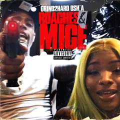 Roaches And Mice