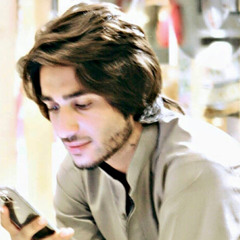 اهنگ مازندرانی دلبر من دیوانه کردی (اهنگ دانشگاه مجید حسینی)💫👻