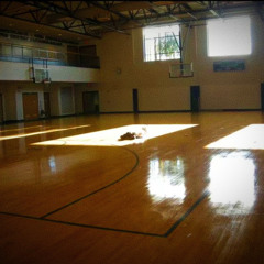 polaroid @r6 ft. @crizo