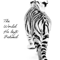 RICHARD PARKER-THE WORLD HE LEFT BEHIND
