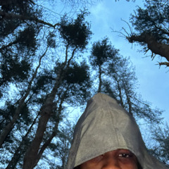 Tree Of Life