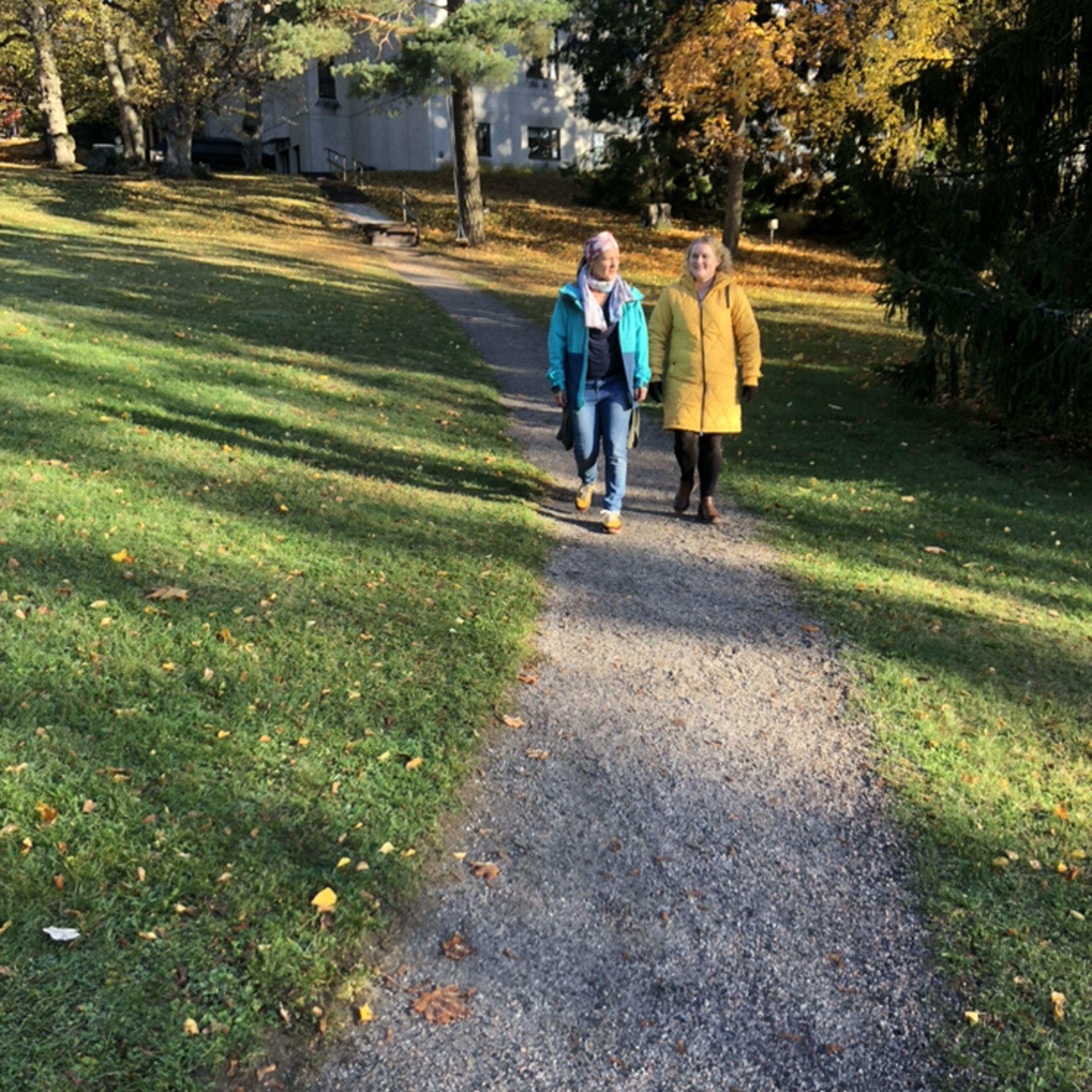 Yleislääkärin Sydänäänet