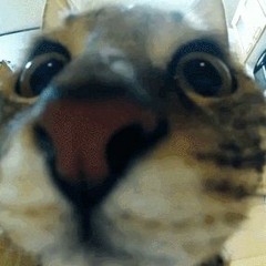 i am staring at you