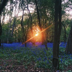 Matrix Greene - Mix 1