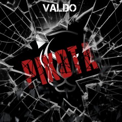 Valdo - Pikota