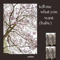 tell me what you want (babe)