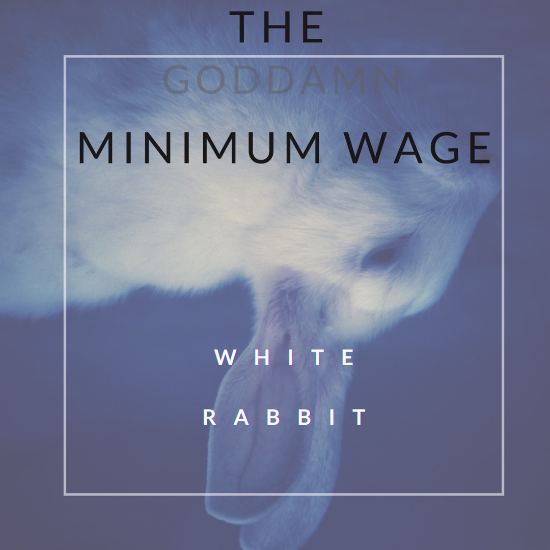 White Rabbit Rovk Song Stream White Rabbit by The Minimum Wage | Listen online for free on ...