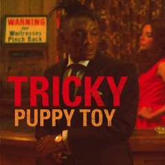 Tricky - Puppy Toy