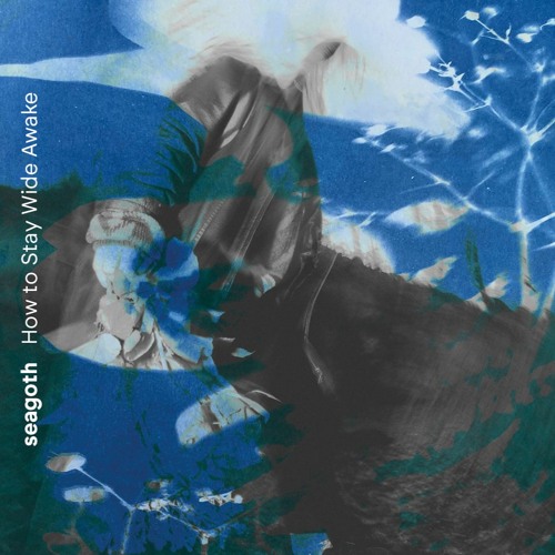 04 Seagoth - Internet Cafe