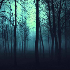 Test 001
