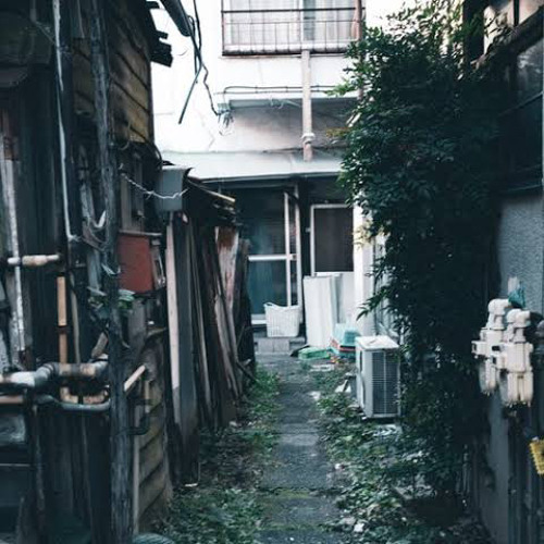 ” Higher ” Liberty&North supp