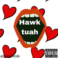Hawk tuah