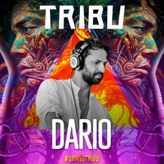 DARIO - TRIBU - DJ - SET