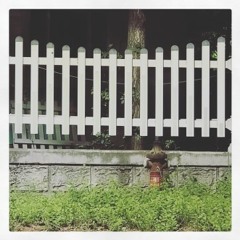 늦은 아침 (메이트)