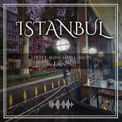 Istanbul NearSueleymaniyeCamii ComercialStreet Swallows Traffic Nigth 2