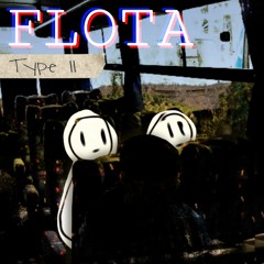 Flota