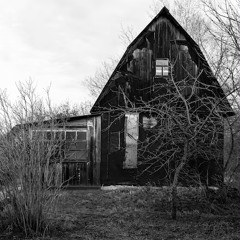 ☆ | Cow Mafia Clips 2k24 | ☆ (+Mxdy)