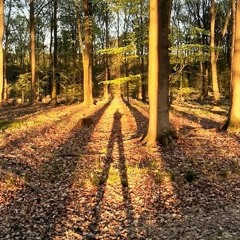 Random Select Radio, Vol 3. The Outside World Mix.