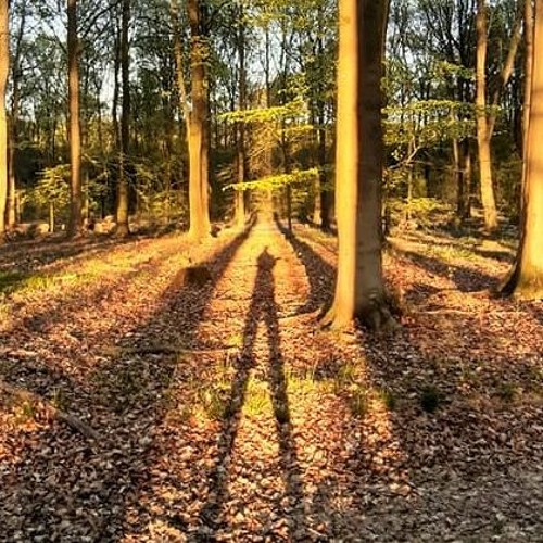 Random Select Radio, Vol 3. The Outside World Mix.
