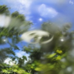 Living Room n°88 ~ forest.exe