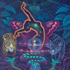 LaniAkea Tribal Cacao Journey 🟣 Ecstatic Dance Set by Yonder