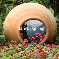 Life In Spring