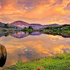 Serenity by Soul Remedy