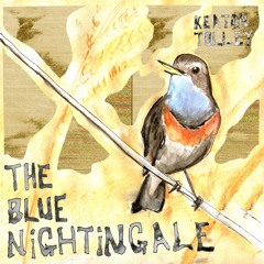 The Blue Nightingale