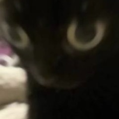 u shud stop while u can prod me