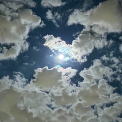 FL4SHB4NG