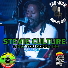 STEVIE CULTURE - What You Gonna Do / TruMon Dubplate