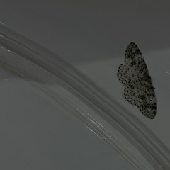 !sorry if i hurt u! w/bkho bain