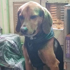 The Great Lord Puddington