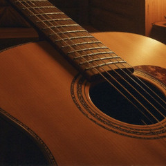 A Little Bird I Am | Guitar Instrumental