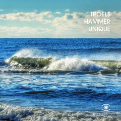 Troels Hammer - Unique (feat. Felix Kingo) - s0424
